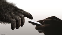 Gorilla Glass Produksi Kaca Lipat
